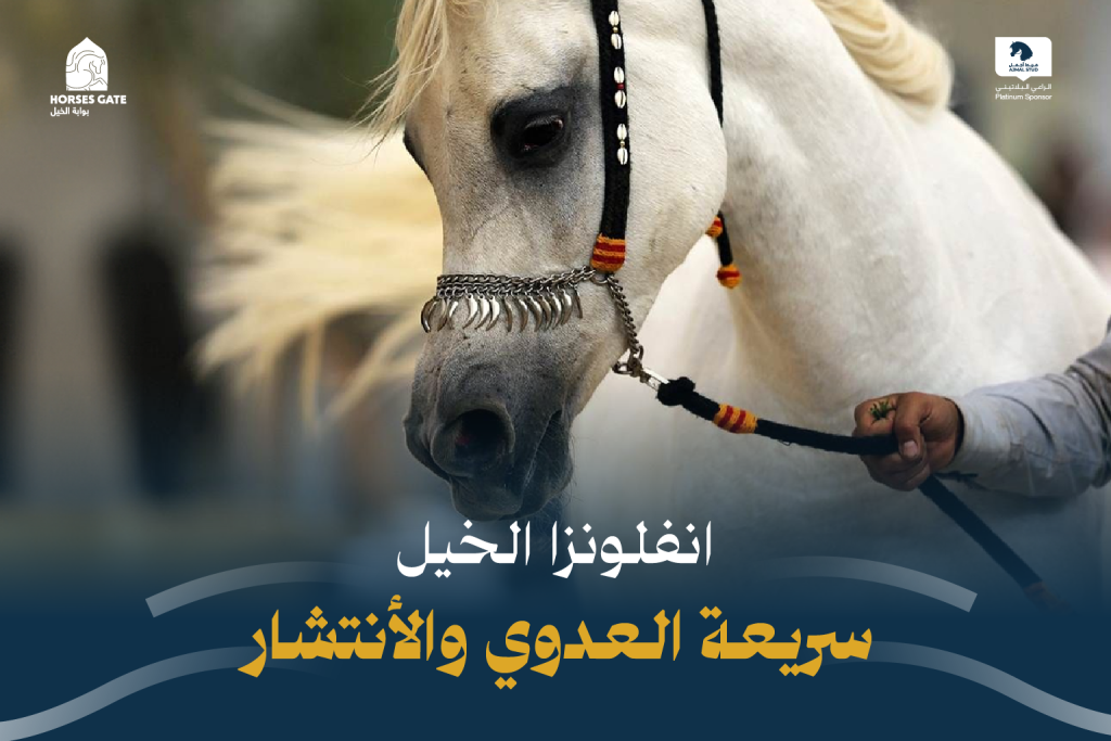بوابة الخيل  