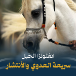 بوابة الخيل  