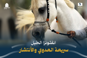بوابة الخيل  