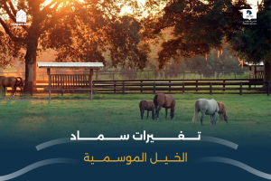 بوابة الخيل  