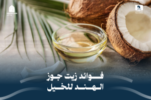 بوابة الخيل  