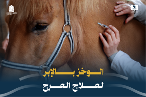 بوابة الخيل  