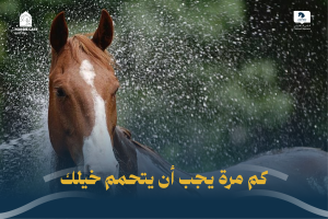 بوابة الخيل  