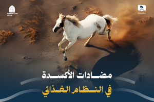 بوابة الخيل  