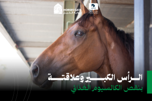 بوابة الخيل  الرأس الكبير وعلاقته بنقص الكالسيوم الغذائي 3 أسباب لنقص الكالسيوم