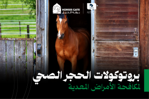 بوابة الخيل  بروتوكولات الحجر الصحي لمكافحة الأمراض المعدية 3 حالات مهمة