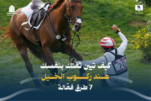 بوابة الخيل  ثقتك بنفسك عند ركوب الخيل: 7 طرق فعّالة
