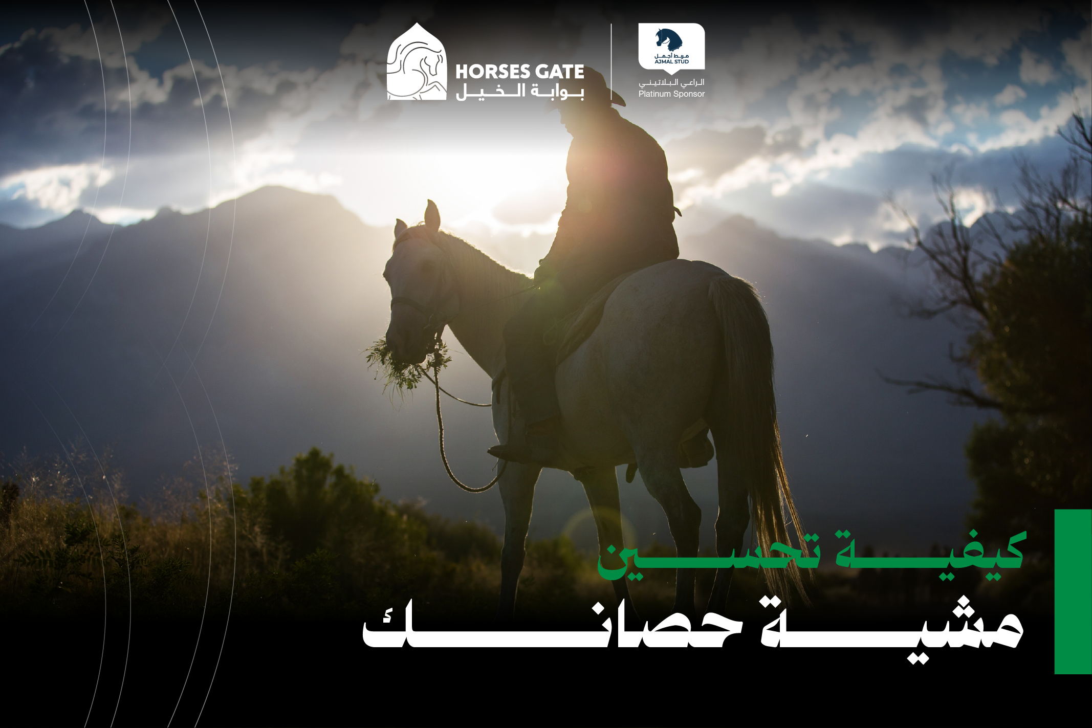 4 تمارين لتحسين مشية حصانك