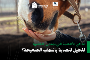 بوابة الخيل  5 أطعمة مناسبة للخيل المصابة بالتهاب الصفيحة