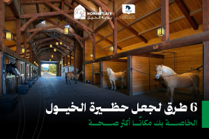بوابة الخيل  6 طرق لجعل حظيرة الخيول الخاصة بك مكانًا أكثر صحة