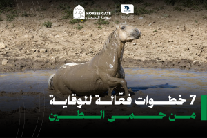 بوابة الخيل