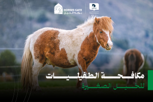 بوابة الخيل  10 أنواع طفيليات في الخيل وعلاجها