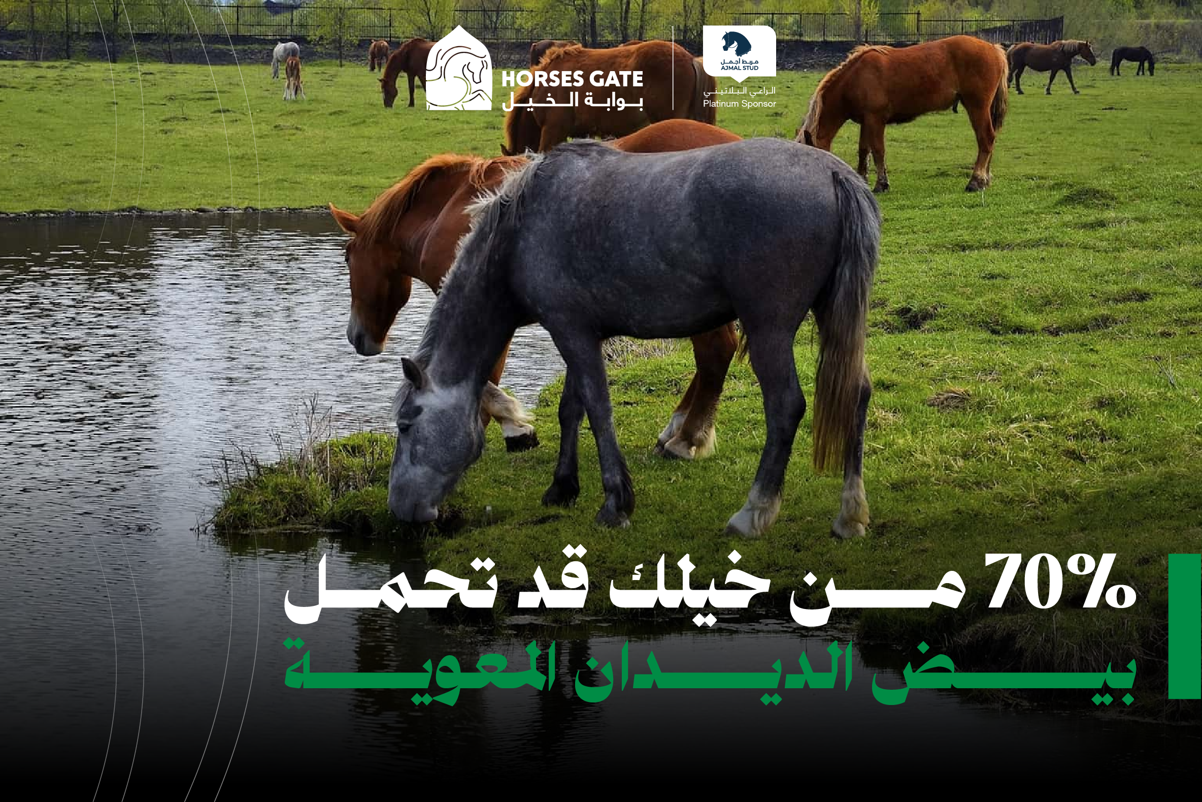 70% من خيلك قد تحمل بيض الديدان المعوية