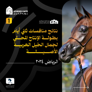 بوابة الخيل  نتائج منافسات ثاني أيام بطولة بطولة الإنتاج المحلي لجمال الخيل العربية الأصيلة لعام 2024م