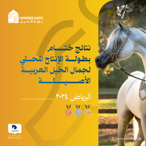 بوابة الخيل  نتائج ختام بطولة بطولة الإنتاج المحلي لجمال الخيل العربية الأصيلة لعام 2024م