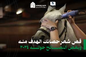 بوابة الخيل  قص شعر حصانك: الهدف منه وبعض النصائح حوله ٢٠٢٤