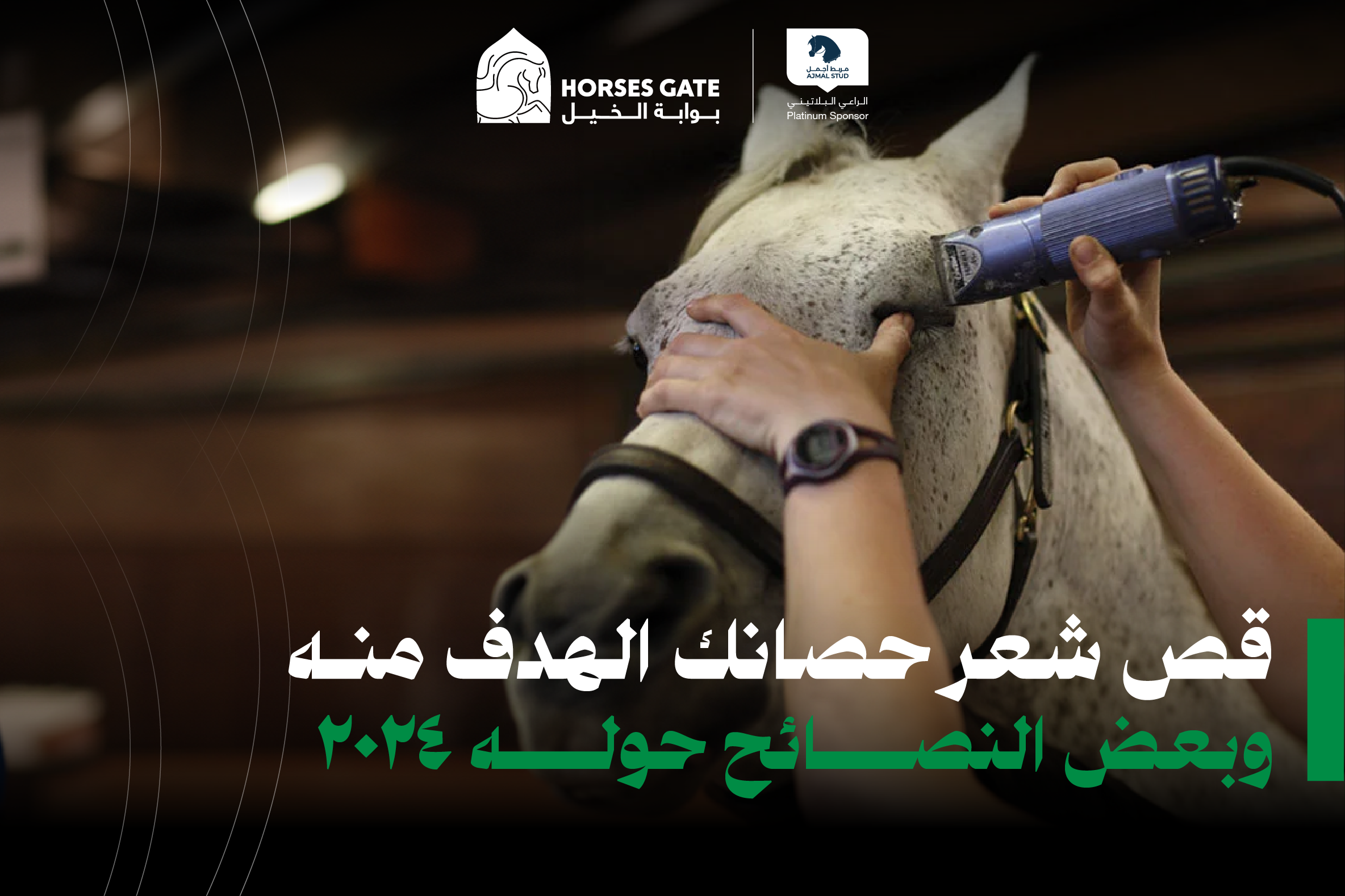 قص شعر حصانك: الهدف منه وبعض النصائح حوله ٢٠٢٤