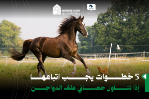 بوابة الخيل  5 خطوات يجب اتباعها إذا تناول حصاني علف الدواجن