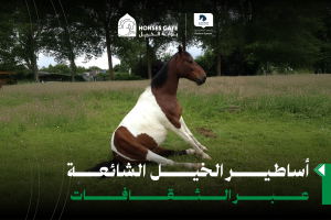 بوابة الخيل  أساطير الخيل الشائعة عبر الثقافات