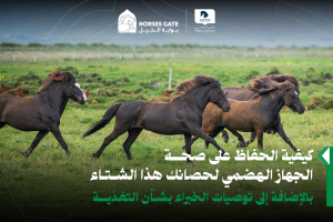 بوابة الخيل  