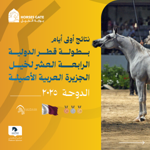 بوابة الخيل  نتائج أولى أيام بطولة قطر الدولية الرابعة عشر لخيل الجزيرة العربية الأصيلة - الدوحة 2025