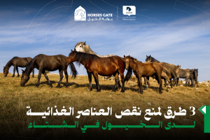 بوابة الخيل  3 طرق لمنع نقص العناصر الغذائية لدى الخيول في الشتاء