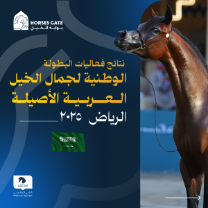 بوابة الخيل   نتائج فعاليات البطولة الوطنية لجمال الخيل العربية الأصيلة 2025