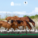 5 طرق فعالة للسيطرة على مقاومة الطفيليات في مزرعة خيلك
