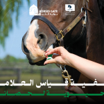 كيفية قياس العلامات الحيوية لحصانك