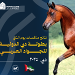 نتائج منافسات اليوم الثاني لبطولة دبي الدولية للجواد العربي 2025