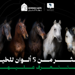 بوابة الخيل  أكثر من 5 ألوان للخيل فلتتعرف عليهم