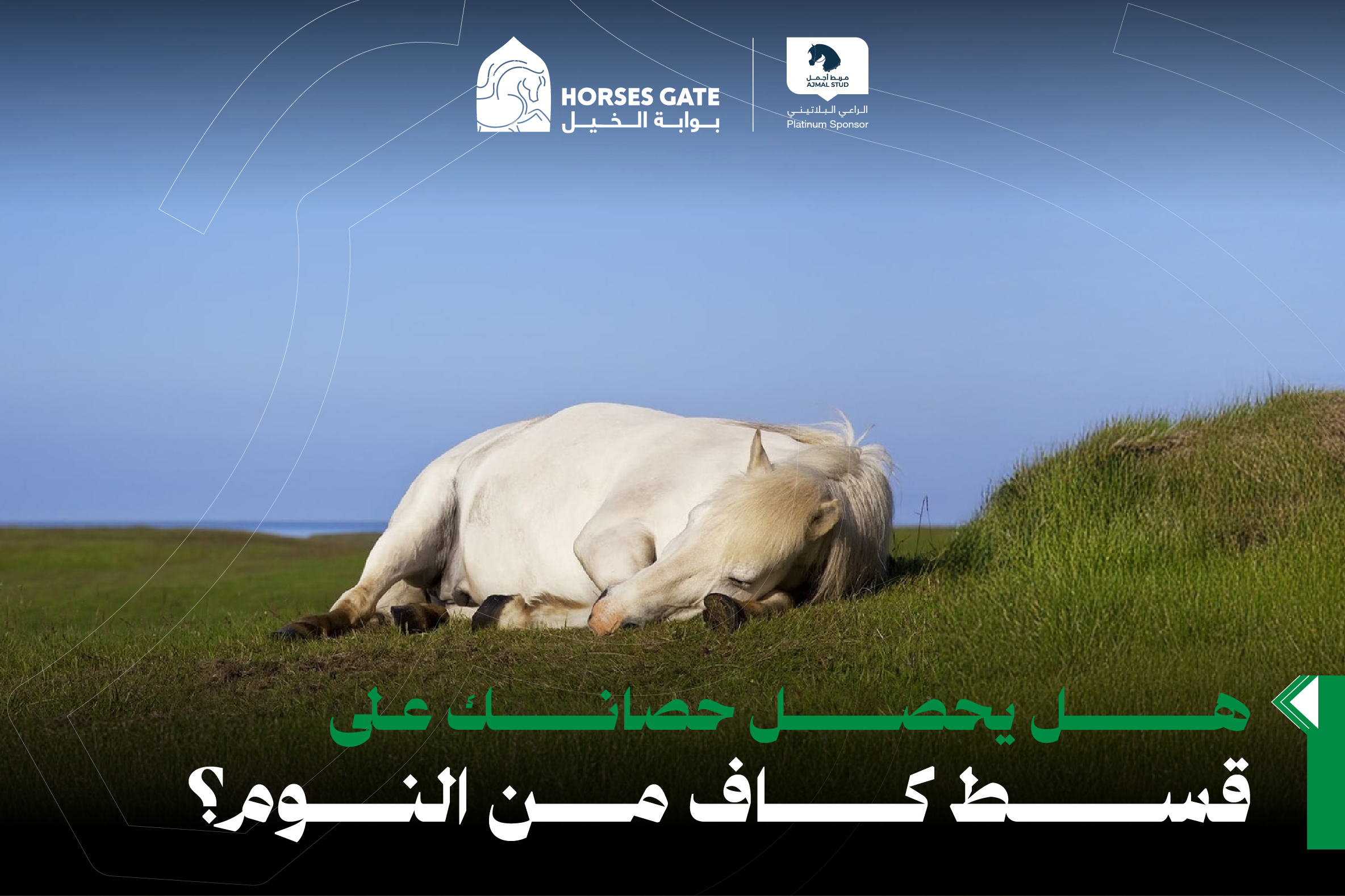 هل يحصل حصانك على قسط كاف من النوم؟