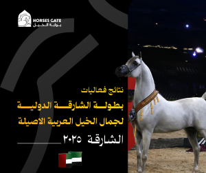 النتائج النهائية لبطولة الشارقة 2025 الدولية لجمال الخيل العربية الأصيلة