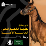 نتائج انطلاق بطولة القيصم لجمال الخيل العربية الأصيلة 2025