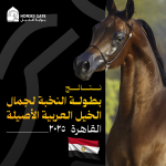 نتائج بطولة النخبة لجمال الخيل العربية الأصيلة 2025