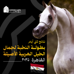 نتائج منافسات ثاني أيام بطولة النخبة لجمال الخيل العربية الأصيلة 2025