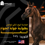 حماسة اليوم الثاني تتواصل: نتائج جولة الجياد العربية ميامي