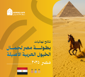 بوابة الخيل  نتائج نهائيات بطولة مصر لجمال الخيول العربية الأصيلة 2025