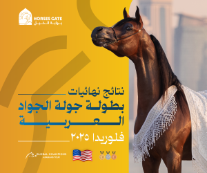 بوابة الخيل  نتائج نهائيات بطولة جولة الجياد العربية ميامي 2025