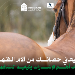 هل يعاني حصانك من آلام الظهر؟ إليك أهم 7 إشارات وكيفية اكتشافها