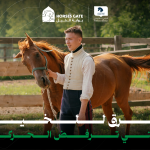 6 طرق للخيل التي ترفض الحركة