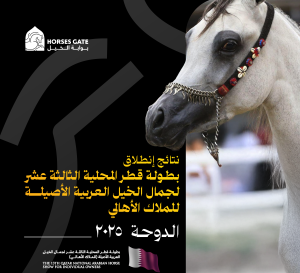 بوابة الخيل  نتائج انطلاق بطولة قطر المحلية الثالثة عشر لجمال الخيل العربية الأصيلة للملاك الأهالي 2025
