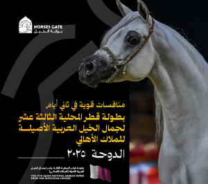 بوابة الخيل  منافسات قوية في ثاني أيام بطولة قطر المحلية الثالثة عشر لجمال الخيل العربية الأصيلة للملاك الأهالي 2025