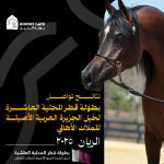 نتائج تواصل بطولة قطر المحلية العاشرة لخيل الجزيرة العربية الأصيلة للملاك الأهالي في يومها الثاني 2025