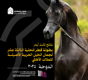 بوابة الخيل  نتائج ثالث أيام بطولة قطر المحلية الثالثة عشر لجمال الخيل العربية الأصيلة للملاك الأهالي 2025