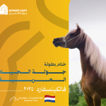 النتائج النهائية لبطولة جولة الجياد العربية فالكينسفارد 2025