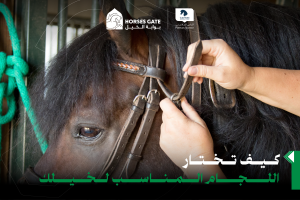 بوابة الخيل  