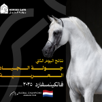 نتائج اليوم الثاني جولة الجياد العربية فالكينسفارد 2025