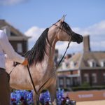 بوابة الخيل  