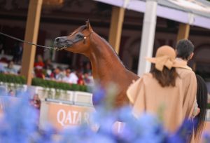 بوابة الخيل  